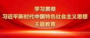 bb在线观看学习贯彻习近平新时代中国特色社会主义思想主题教育_fororder_ad-371X160(2)